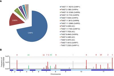 Novel kinetoplastid-specific cAMP binding proteins identified by RNAi screening for cAMP resistance in Trypanosoma brucei